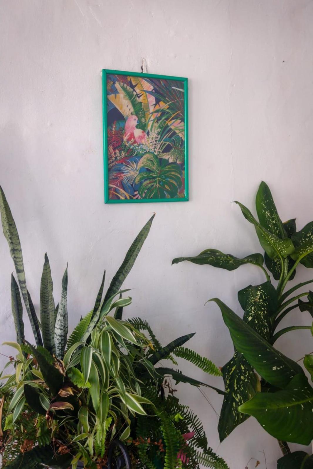 Residence Girassol Belem  Bagian luar foto